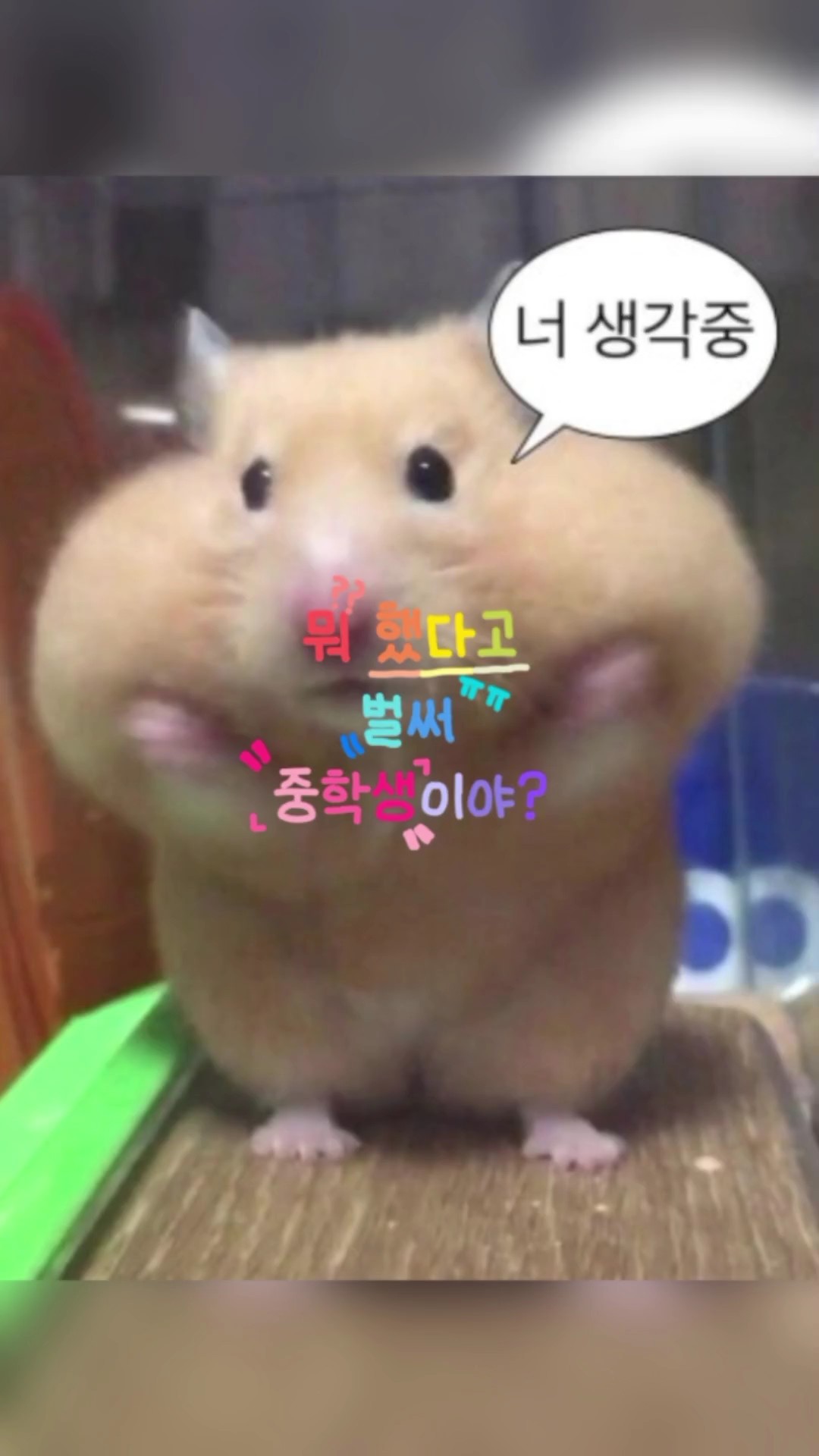 뭐 했다고 벌써 중학생이야?ㅠㅠ