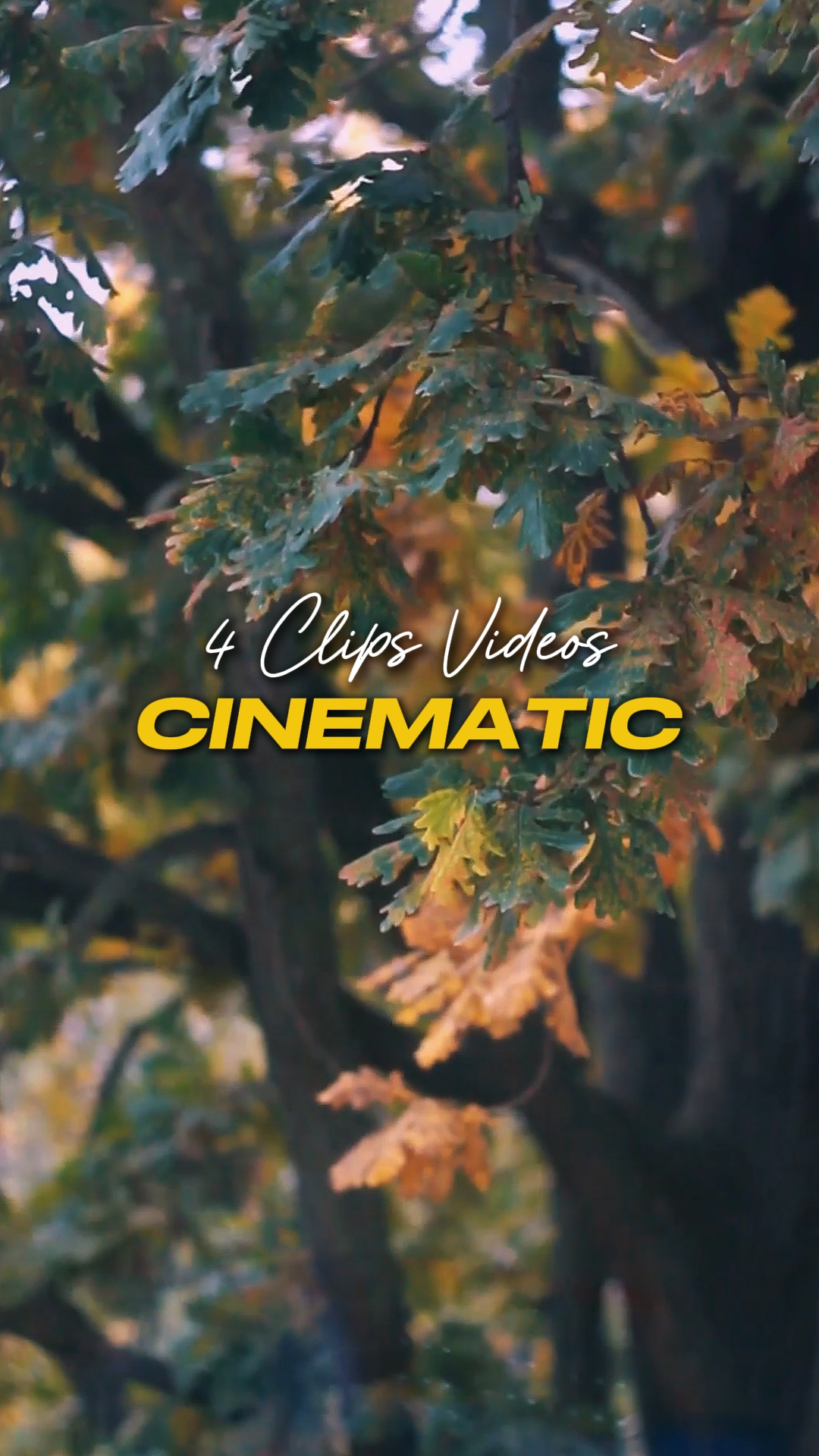 Cinematográfica 4 Vídeos