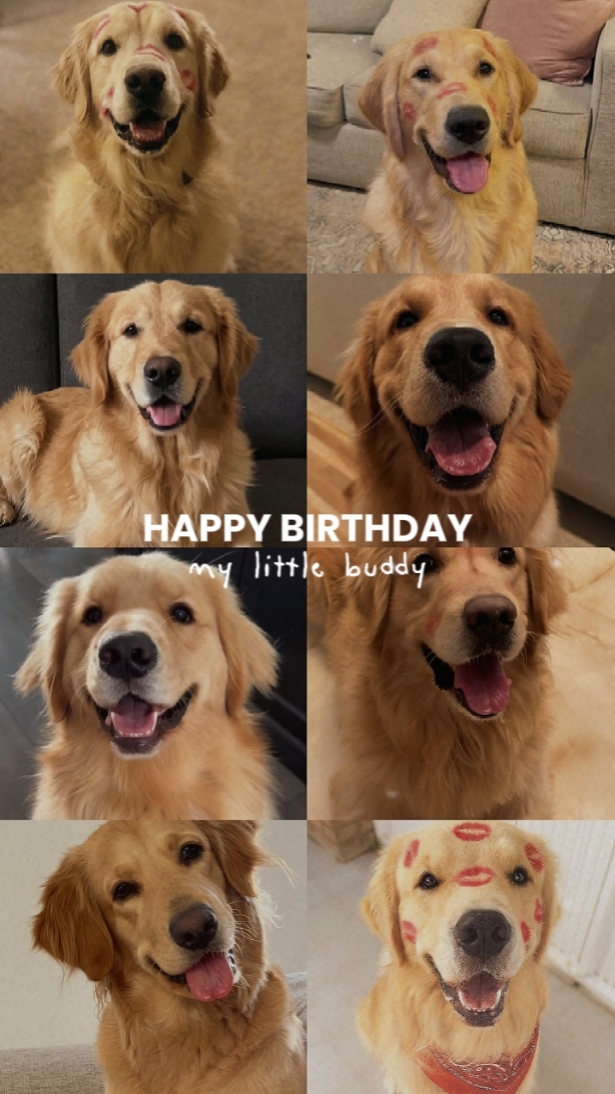 Feliz Barkday