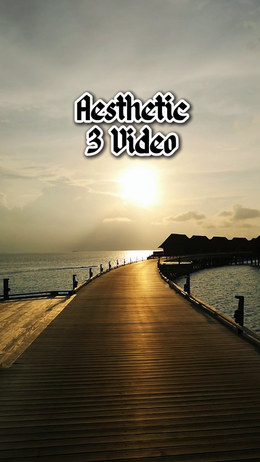 Aesthetic 3 Video