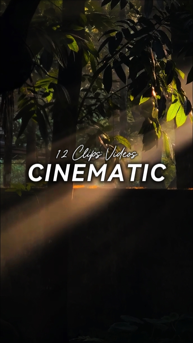 12 clipes cinematográficos