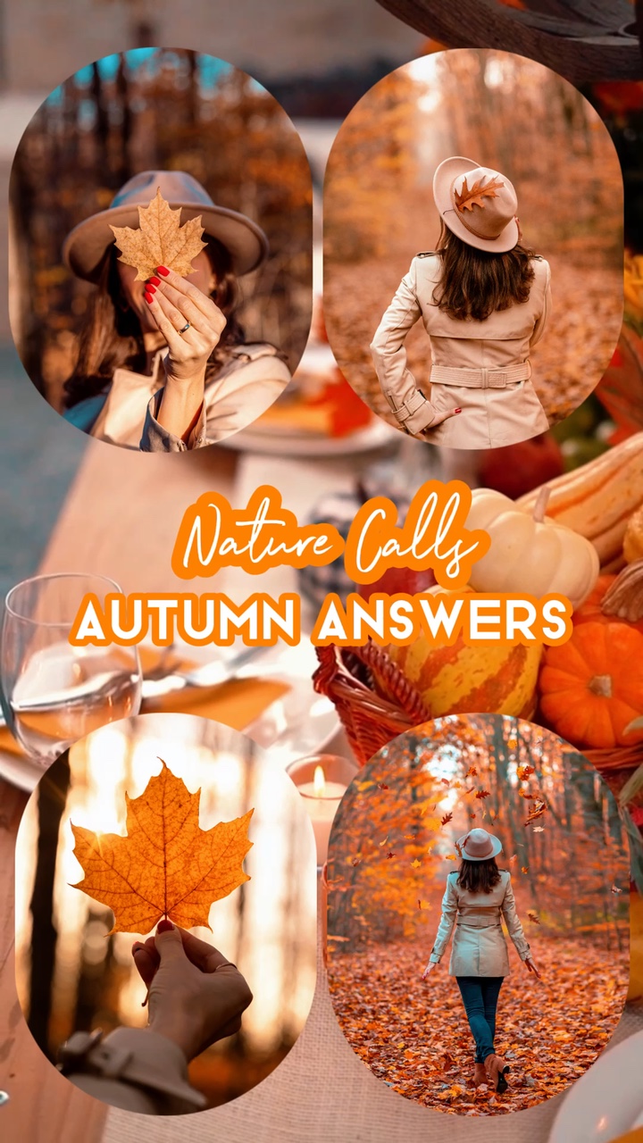 Autumn Daily 