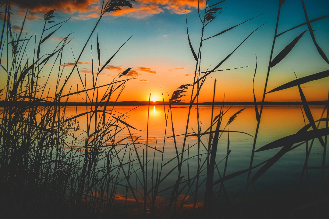 8 fotos de paisaje