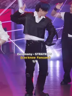 FANCAM