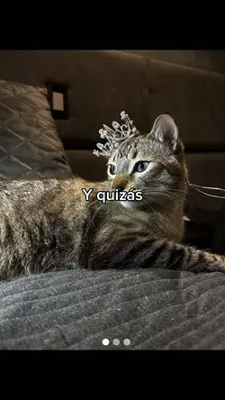 Quizás…