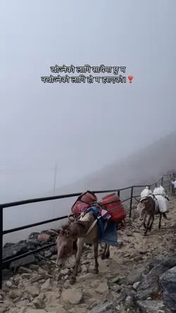 खोज्नेको लागि साथैमा छु म 