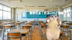 私の授業風景です(猫ミーム)
