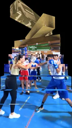 Workout / GYM /Fight