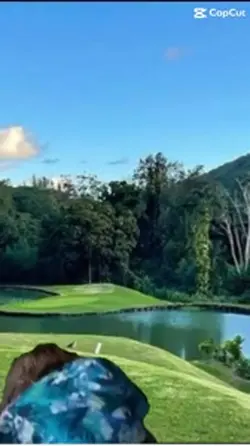 Jim carrey golf