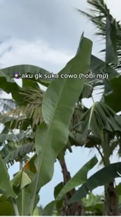 3klip trend