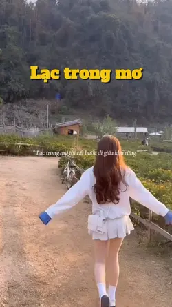 Lạc trong mơ