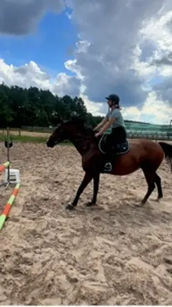Horse jumping 