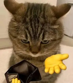 😻🤌