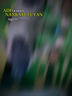 Adi ta nankatuluyan