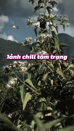 mẫu tâm trạng 