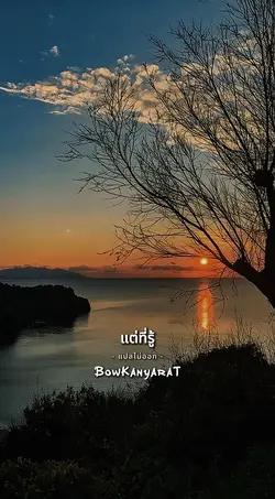 แปลไม่ออก