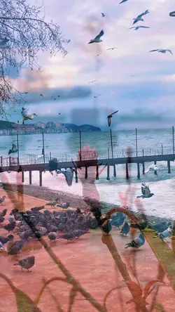 قــ🫀ــلبي المُتيم