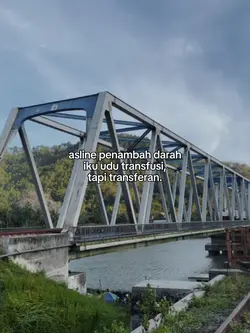 TRANSFERAN