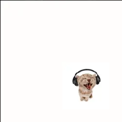 wow da cat very cute