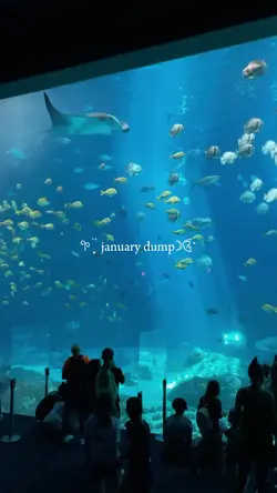 january dump