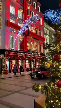 Christmas 2025🎄🦌✨