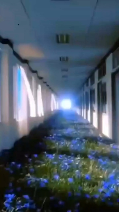 ESPACE LIMINAL 