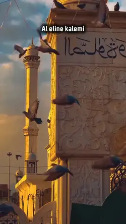 yeni şablon