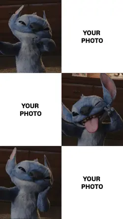 Stitch photo