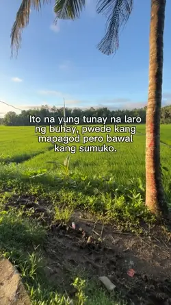 laban lng