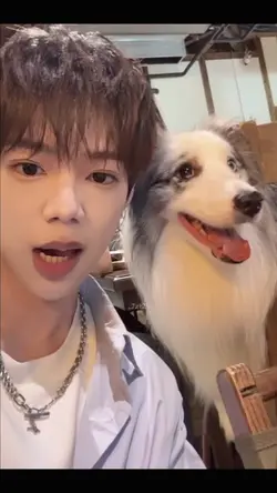 No kiss No faith 模板