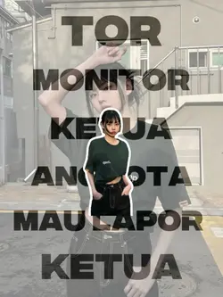 Tor monitor stiker