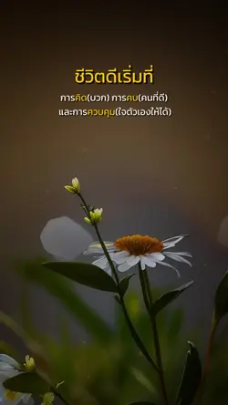 ชีวิตที่ดี