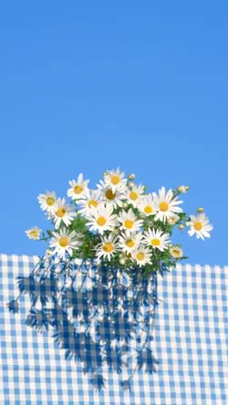 Happy Day