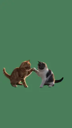 Stripper Anthem Cats