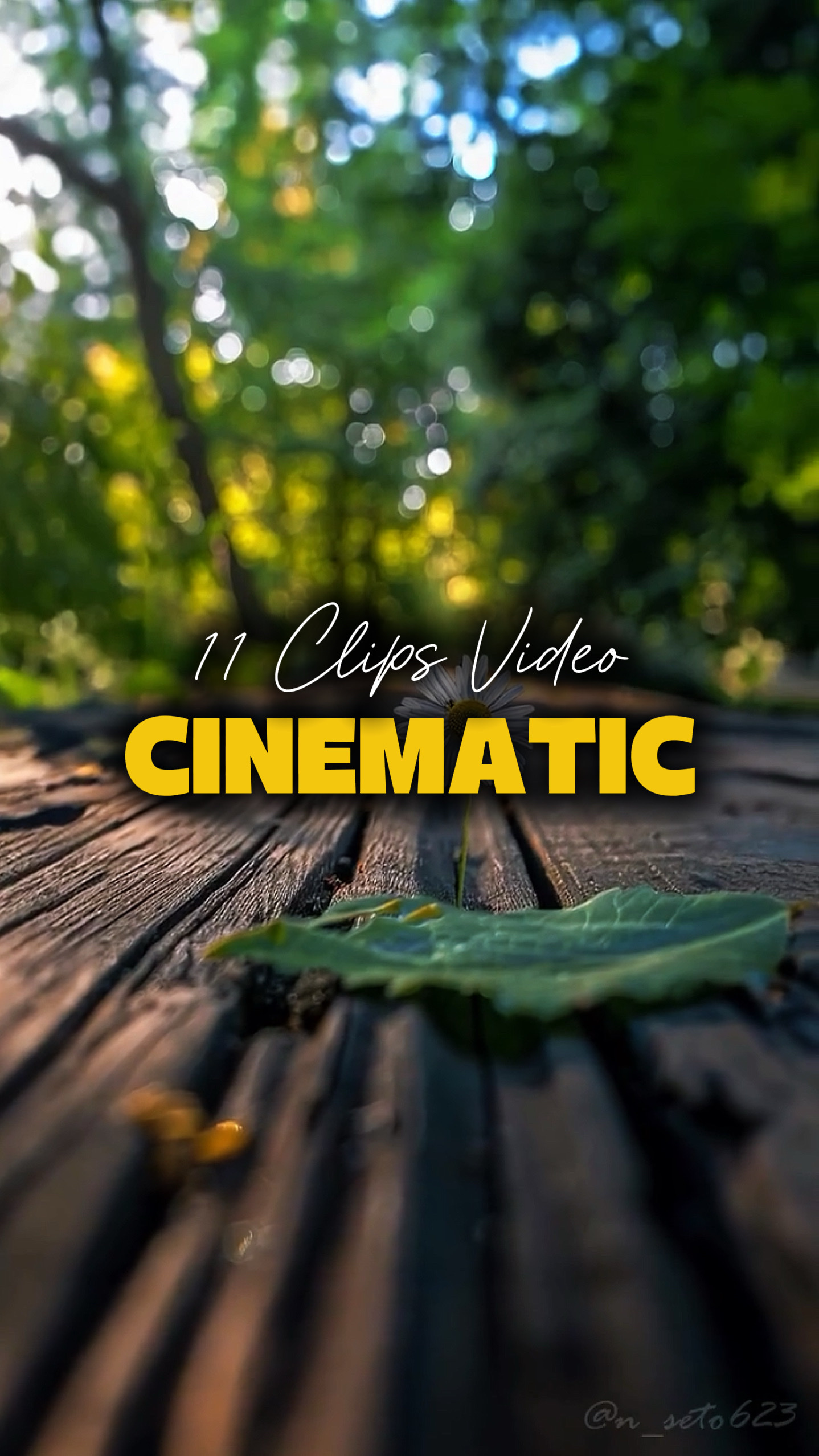 11 Videos Cinematic 