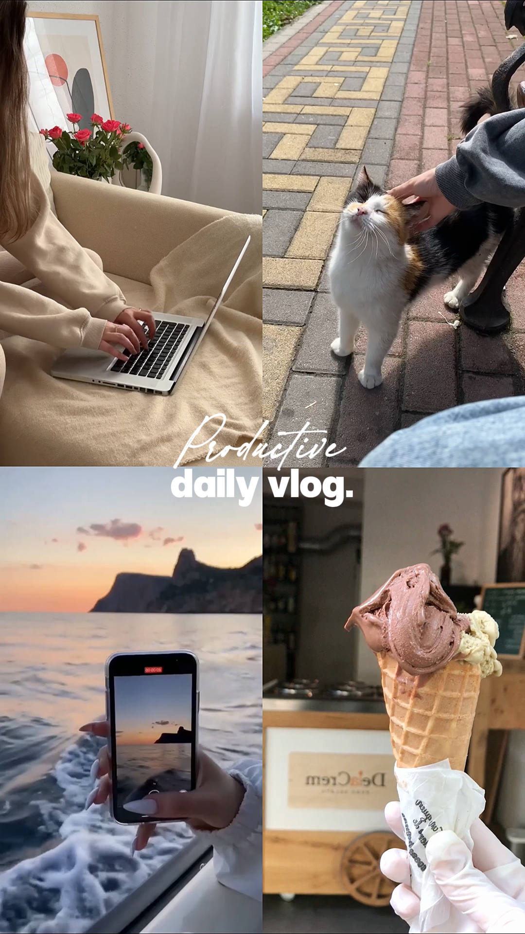 Daily vlog