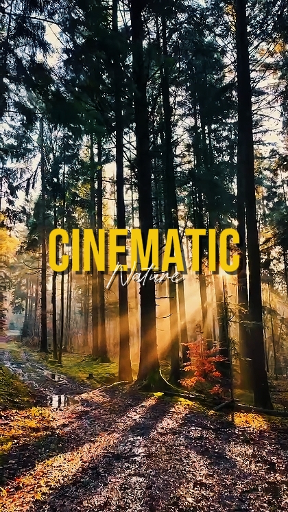 NATUREZA CINEMÁTICA