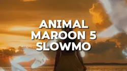 Slowmo Animal