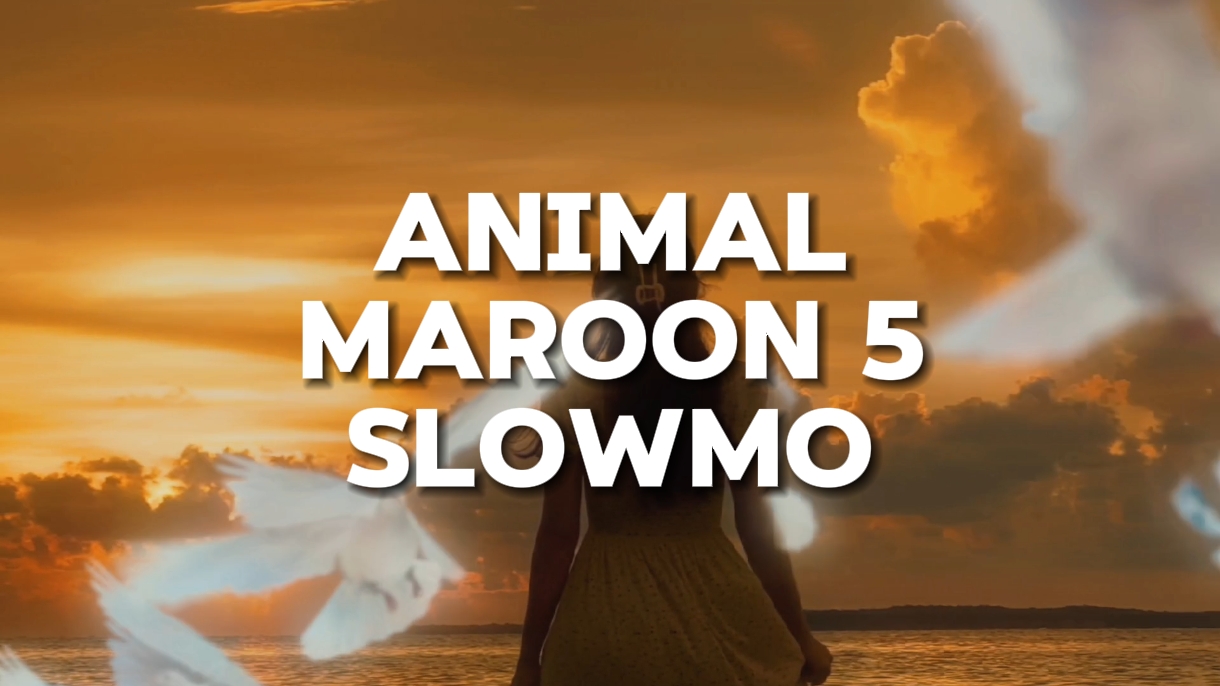 Slowmo Animal