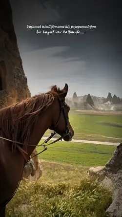 hayat var kalbimde..