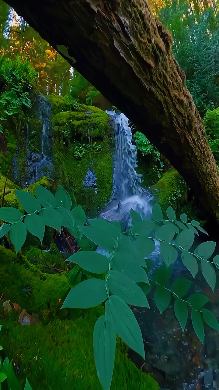 nature vibes