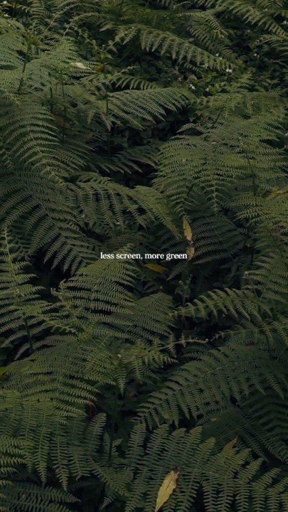 Forêt