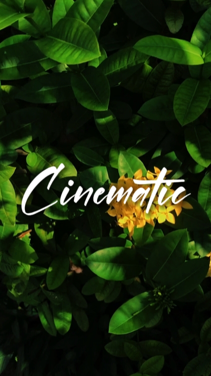 5 videos cinematic