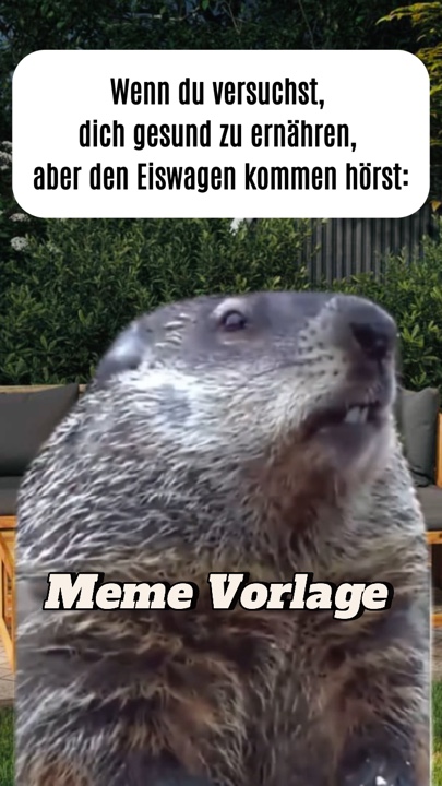 ICE CREAM meme 