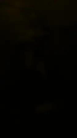 Palangga