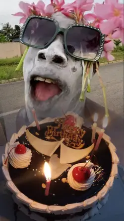 happy birthday toyou