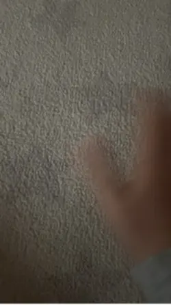 200 follower special