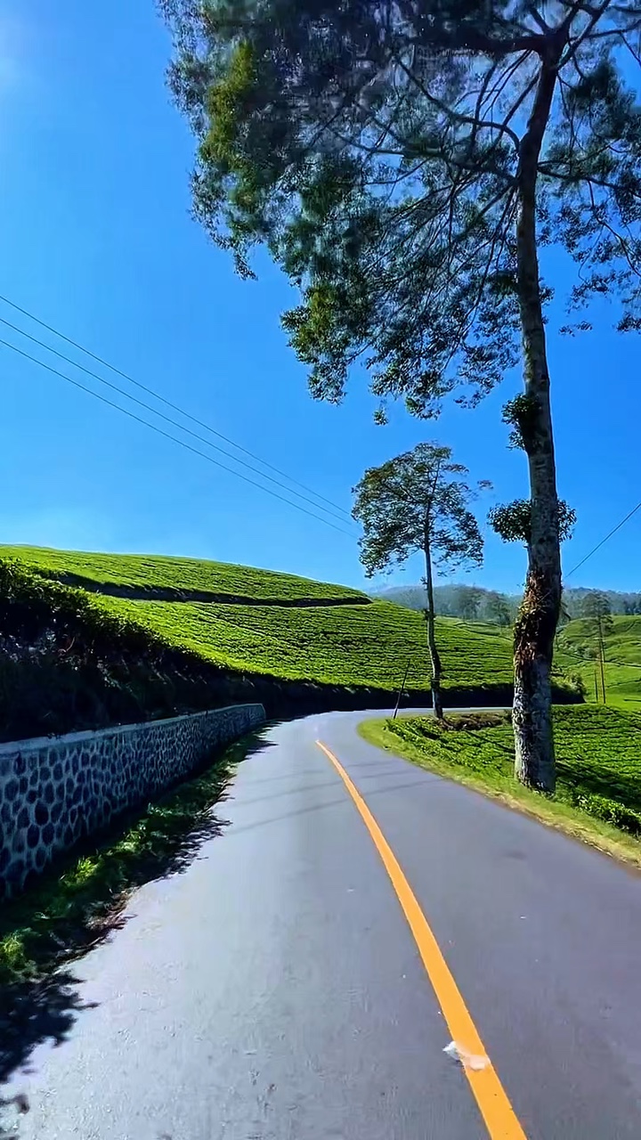 4 video road trip