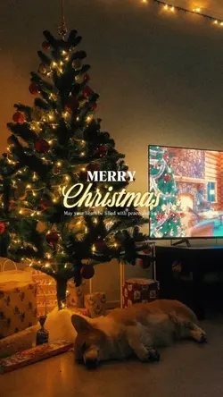 🎄Add 1 photo/video⭐️❄️