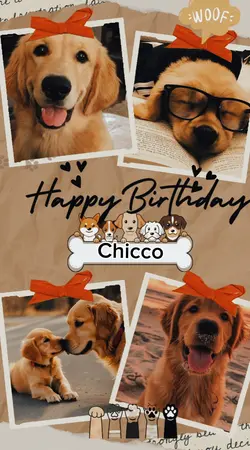 my pets birthday